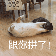 /uploads/allimg/231115/14560IT2-8.gif